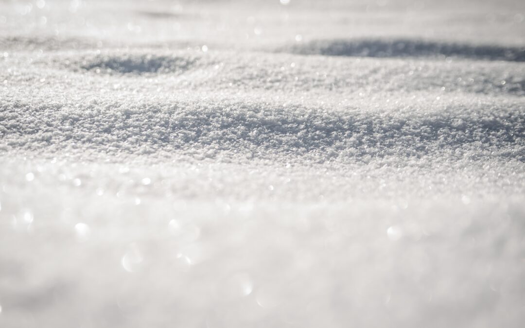 winter-snow-nature-60561_jpeg